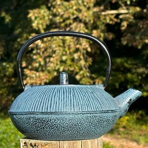 Japanese Style Lacor Cast Iron Tea Pot!